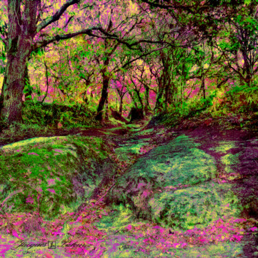 Photography titled "Forêt des traouïéro…" by Jacques Lateur, Original Artwork, Digital Photography
