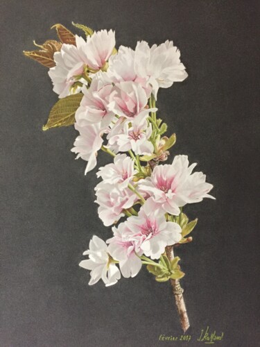 Ζωγραφική με τίτλο "Cerisier fleur.jpeg" από Jacques Rolland, Αυθεντικά έργα τέχνης, Παστέλ