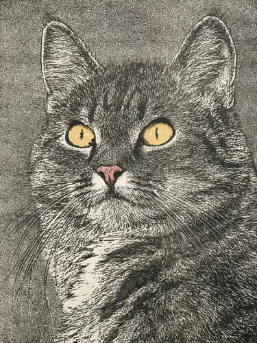 Gravures & estampes intitulée "Chat" par Jacky Rouget, Œuvre d'art originale, Lithographie