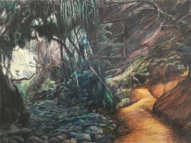 Painting titled "LE CHEMIN EN SOUS-B…" by Jacques Tafforeau, Original Artwork, Ink