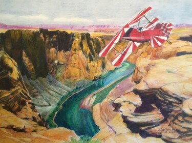 Peinture intitulée "SURVOLE DU COLORADO." par Jacques Tafforeau, Œuvre d'art originale, Aquarelle