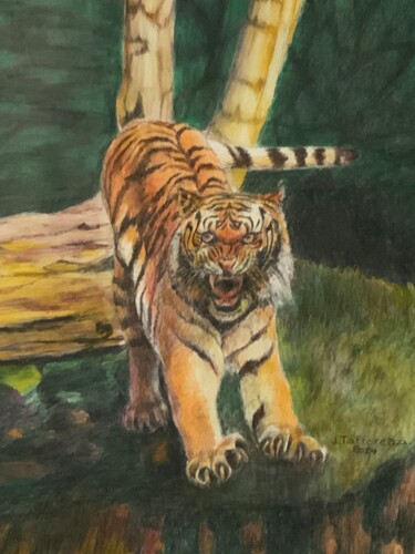 Painting titled "LE TIGRE EN POSTURE…" by Jacques Tafforeau, Original Artwork, Watercolor
