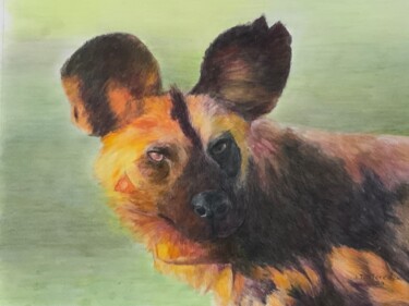 Painting titled "CHIEN SAUVAGE AUX G…" by Jacques Tafforeau, Original Artwork, Watercolor