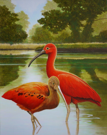 Painting titled "Ibis" by Jacques Place, Original Artwork, Acrylic