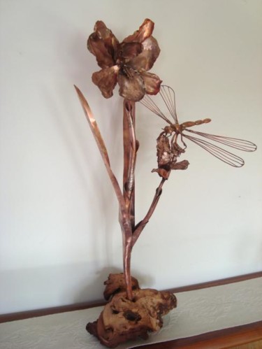Sculpture intitulée "Iris et Libellule" par Jacques Tronquet, Œuvre d'art originale, Métaux