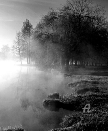 摄影 标题为“Brume sur le lac..” 由Janeon Photos, 原创艺术品, 数码摄影