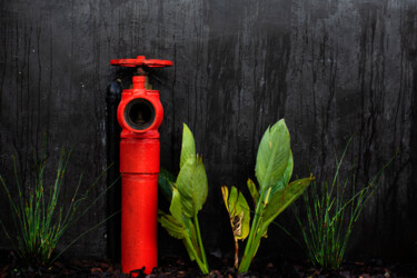 Photographie intitulée "Fire Hydrant" par Jade Holing, Œuvre d'art originale, Photographie numérique