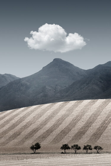 Фотография под названием "The Harvest" - Jade Holing, Подлинное произведение искусства, Цифровая фотография