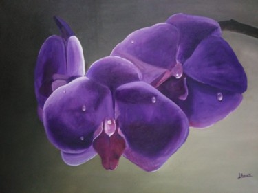 Pintura titulada "orquidea" por Jaibue77, Obra de arte original, Oleo