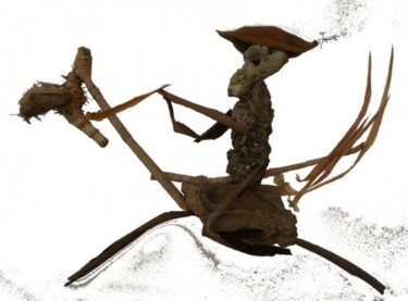 Sculpture intitulée "LE GALOP DU BOUCANI…" par Jaime Garcia, Œuvre d'art originale