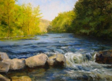 Pintura titulada "Salmon River Falls" por Elizabeth Sennett, Obra de arte original, Oleo