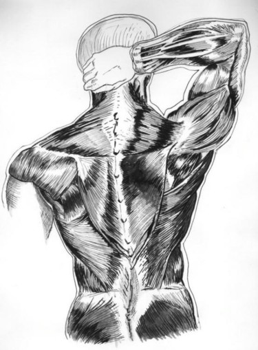 Drawing titled "anatomy" by Jamal Janjua, Original Artwork