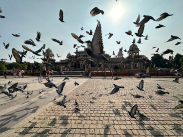 Фотография под названием "Pigeons in front of…" - James Gritz, Подлинное произведение искусства, Цифровая фотография