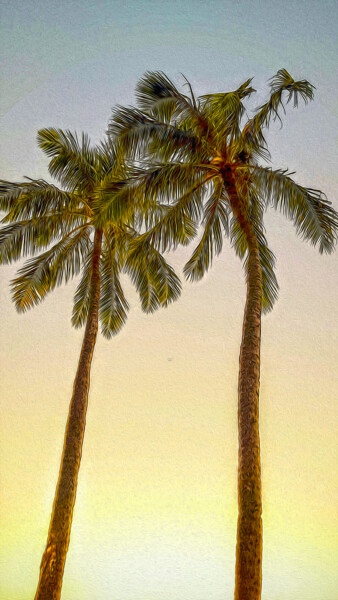 Digitale Kunst getiteld "Twin Palms" door James Morris, Origineel Kunstwerk, Gemanipuleerde fotografie