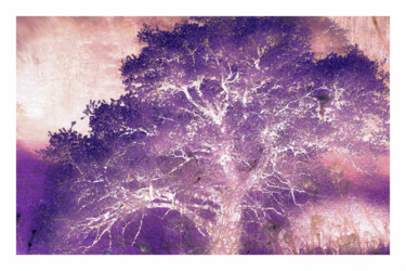 Photographie intitulée "Le chêne rose" par James Orain, Œuvre d'art originale, Photographie numérique