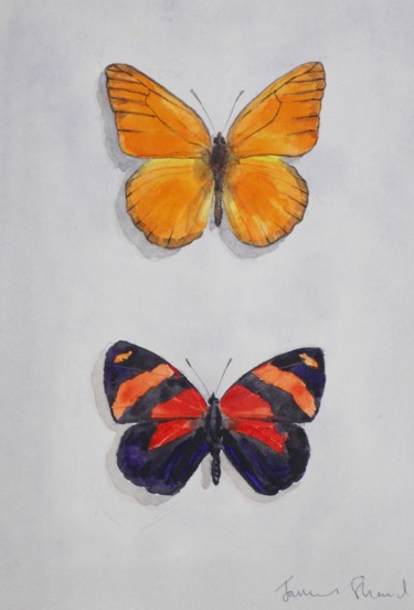 Peinture intitulée "Butterflies" par James Shand, Œuvre d'art originale, Aquarelle