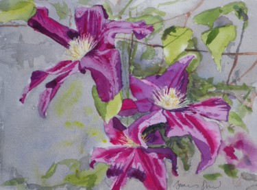 Painting titled "Clematis Victoire d…" by James Shand, Original Artwork, Watercolor