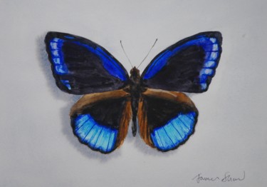 Schilderij getiteld "Butterfly" door James Shand, Origineel Kunstwerk, Aquarel