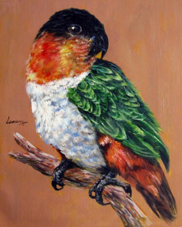 Malerei mit dem Titel "Parrot #201" von James Shang, Original-Kunstwerk, Öl Auf Keilrahmen aus Holz montiert