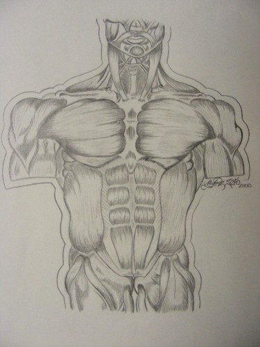 Digital Arts titled "anatomy pencil draw…" by Jms Designs, Original Artwork