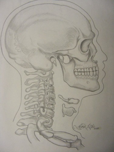 Digital Arts titled "skull study pencil…" by Jms Designs, Original Artwork