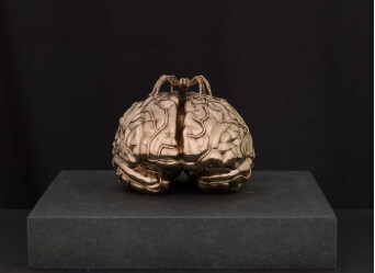Scultura intitolato "The Brain of the Bl…" da Jan Fabre, Opera d'arte originale