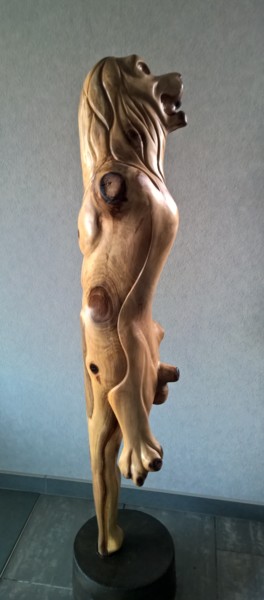 Sculpture intitulée "SPHINX ( two sided,…" par Jan Van Braekel, Œuvre d'art originale, Bois