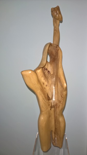 Sculptuur getiteld "KÖRPER-WOOD" door Jan Van Braekel, Origineel Kunstwerk, Hout