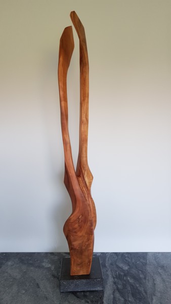 Sculpture intitulée "TWIN1" par Jan Van Braekel, Œuvre d'art originale, Bois