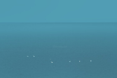 Fotografia intitolato "Lonely swans" da Jan Walczewski, Opera d'arte originale, Fotografia digitale
