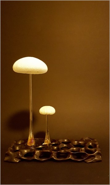 Sculpture intitulée "Mushrooms" par Jan Schrijver, Œuvre d'art originale, Techniques mixtes