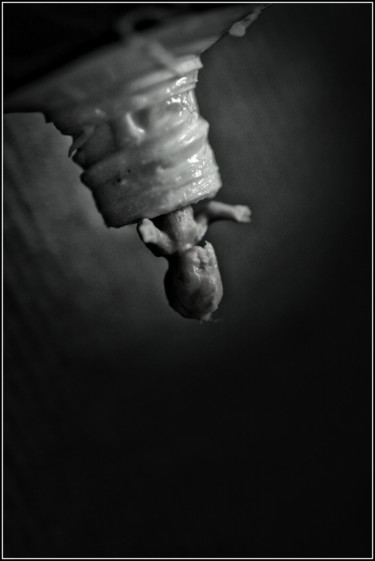Fotografia zatytułowany „leaped into the dar…” autorstwa Jan Schrijver, Oryginalna praca