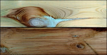 Photography titled "The beauty of wood." by Jan Schrijver, Original Artwork