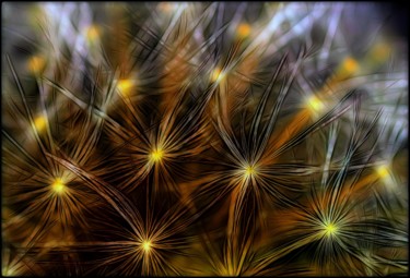 Fotografía titulada "Sparkling" por Jan Schrijver, Obra de arte original, Fotografía digital