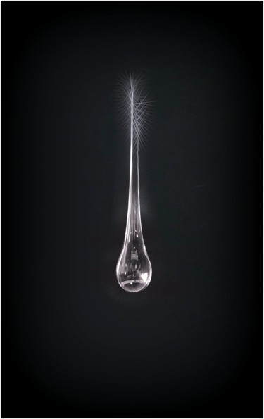 Fotografía titulada "Dew" por Jan Schrijver, Obra de arte original