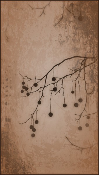 제목이 "Composition of twigs"인 사진 Jan Schrijver로, 원작, 조작된 사진