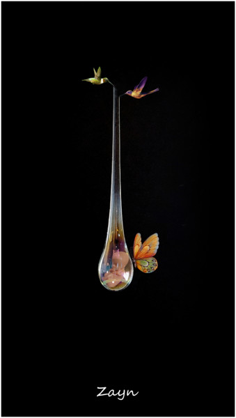 Digitale Kunst getiteld "Zayn" door Jan Schrijver, Origineel Kunstwerk, Foto Montage