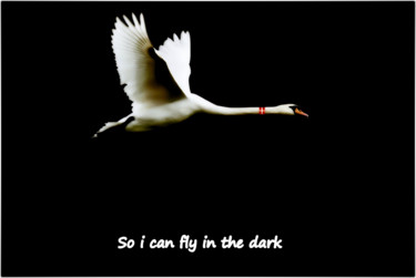 Digital Arts titled "So i can fly in the…" by Jan Schrijver, Original Artwork, Photo Montage