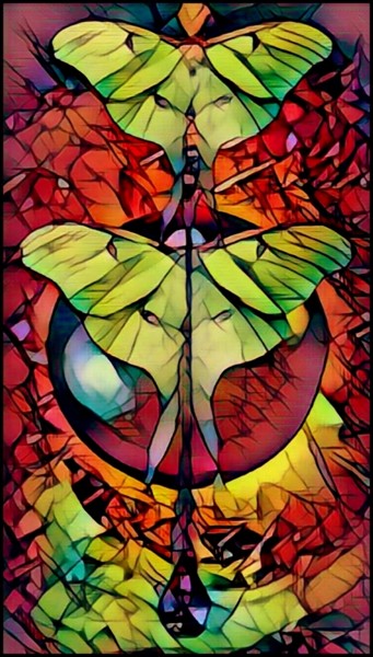Fotografía titulada "Butterfly compositi…" por Jan Schrijver, Obra de arte original, Fotografía manipulada
