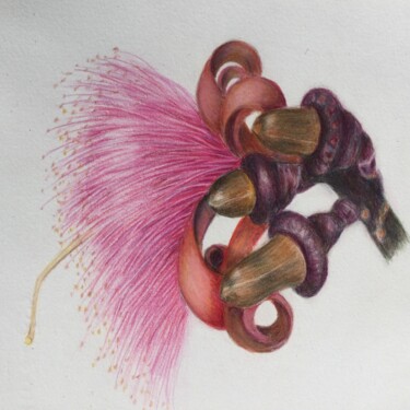 Tekening getiteld "Hawaiian Shaving Br…" door Jane Wong, Origineel Kunstwerk, Potlood