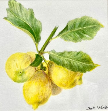 Dibujo titulada "Lemon Cluster" por Jane Wong, Obra de arte original, Lápiz