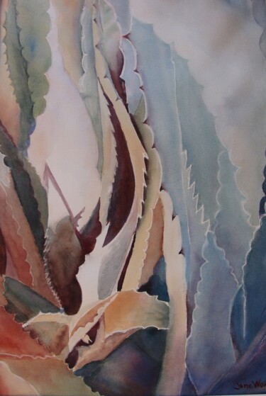 Pintura titulada "Aloe" por Jane Wong, Obra de arte original, Acuarela