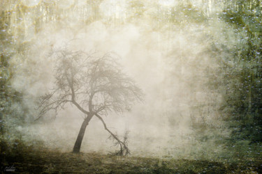 Photography titled "silence-witness-of-…" by Janek Sedlar, Original Artwork, Digital Photography