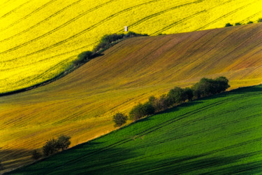 Photography titled "Guardian of the bro…" by Janek Sedlar, Original Artwork