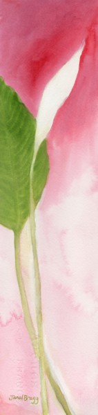 Peinture intitulée "My Peace Lily II" par Janel Bragg, Œuvre d'art originale, Aquarelle