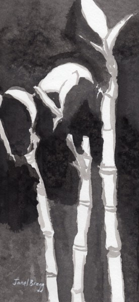 Картина под названием "My Lucky  Bamboo" - Janel Bragg, Подлинное произведение искусства, Чернила