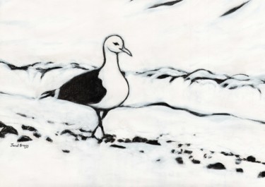 Painting titled "Seagull from Washin…" by Janel Bragg, Original Artwork
