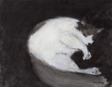 Рисунок под названием "Thomas taking a Nap" - Janel Bragg, Подлинное произведение искусства, Древесный уголь