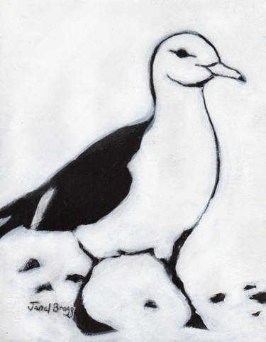 Peinture intitulée "Seagull from Washin…" par Janel Bragg, Œuvre d'art originale