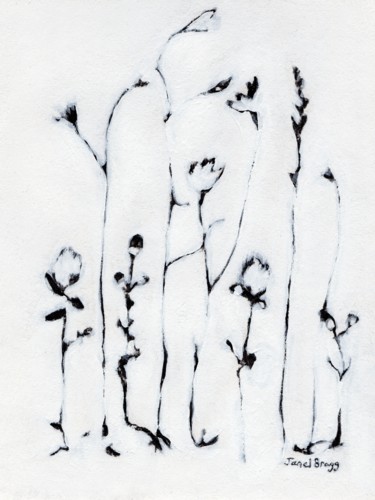 Drawing titled "Clover, Wild Chamom…" by Janel Bragg, Original Artwork, Charcoal